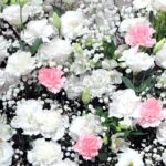 「青空」須藤理恵さんの相方・岡友美が涙の追悼、「いつか会えると思っていたのに…」