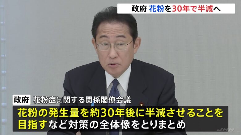 花粉症患者に朗報！政府が花粉発生量の半減を目指し、対策拡大の動きを本格化！t