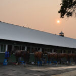 「米国でも大気汚染が続く！カナダ山火事が引き起こした影響が首都で悪化」