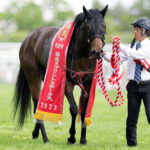 キミワクイーンが重賞初Vで脚光！横山武騎手も大喜び！