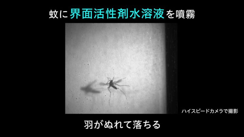 #界面活性剤 の力で蚊を撃退？花王の革新的な駆除技術とは