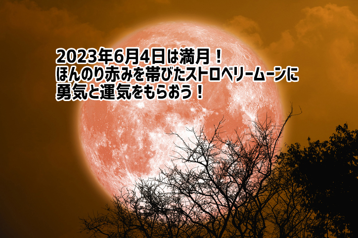 【天気】SNSで話題沸騰！Z世代が熱狂するストロベリームーンの魅力とは？