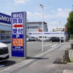 BIGMOTOR前の枯れた樹 各地調査開始！