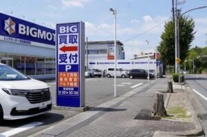 BIGMOTOR前の枯れた樹 各地調査開始！