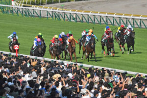 今村聖奈のジョッキーカメラがアイビスSDで注目！ アイビスＳＤレースで公開された驚きのスピード感とリアルな舞台裏とは？