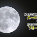 兵庫・姫路市に現れた姿はまさに絶景！スーパーブルームーンが姫路城を彩る