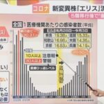 「第9波」ピークか　医療現場ひっ迫の中…新変異株「ピロラ」国内で初確認　症状は？