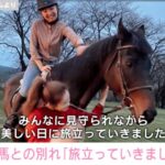 紗栄子、愛馬「ジェニオ」との別れを告白「まだ気持ちの整理がついていません」