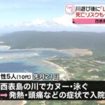 沖縄・西表島での川遊び後にレプトスピラ症の重症化で死亡リスクが！注意喚起