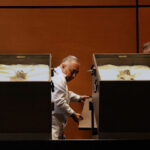 メキシコ議会、衝撃の公開！「非人類の遺体」を披露