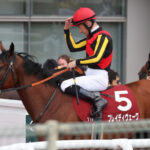 【ローズS】ブレイディヴェーグ、4戦連続の最速上がりで2着!ルメールも手応えを感じ、秋華賞への期待高まる