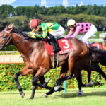 サトノグランツの末脚が勢力図を変える！神戸新聞杯での快走に期待