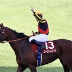 ルメール騎手が自信満々！ローシャムパークがオールカマー制覇！