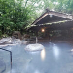 【衝撃】ガチで最高だった「温泉」といったら！？