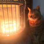 【議論】10月だけど、暖かすぎるよね！？