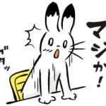 【ついに！？】(´・ω・｀)東京にもクマさんが出た！？