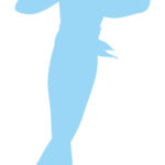 【画像】羽生結弦(28)さん、どんどん進化してしまうｗｗｗｗｗｗｗｗｗｗｗｗ