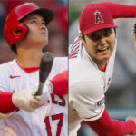 【議論】大谷翔平さんが飼っているペットが話題に！