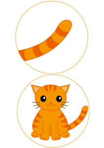 【議論】動物のしっぽ・・何の役割があるんだ！？