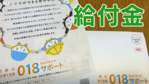 【質問】給付金7万円→何しますか!?