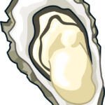 【画像】女性声優さん牡蠣みたいな服を着る