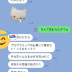 【画像】Twitterで知り合った巨乳の女性がプログラマーになりたいみたい。。