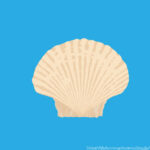 【朗報】武田久美子、５年後の還暦で伝説の貝殻ビキニ復活示唆wwwwwwwwwwwwwwwwwwwwww