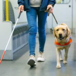 【議論】盲導犬の寿命→平均13歳