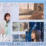 【朗報】芸歴12年の人気芸能人さん、AVデビュー！