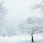 【悲報】月曜日、大雪に。関東でも積雪か？帰宅難民⛄