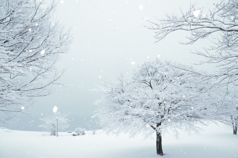 【悲報】月曜日、大雪に。関東でも積雪か？帰宅難民⛄