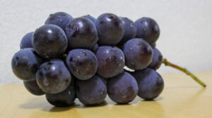 【画像】どっちの巨峰、買いますか！？