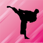 セーム・シュルトとかいうK-1史上最強の男