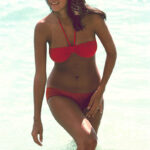 【画像】グラドル、アグネス・ラムさんはデカパイです!