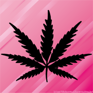 JBCが井岡一翔を戒告処分 平仲会長はライセンス停止