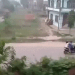 【画像】ゾウ「もー怒ったゾウ