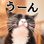 【画像】何番にしますか！？