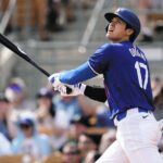 【そうなの！？】大谷さん、犬買うときに嫁に事後報告だった…