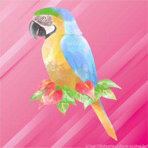 【画像】スケべ親父のようなオウムが脱走してしまう