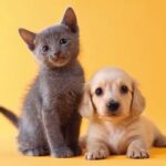 【議論】犬 or 猫 飼うならどっちがいい？
