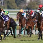 【議論】今週の安田記念、楽しみすぎワロタ