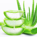 【議論】アロエ育てようと思うんだが、これカッコいいかな？