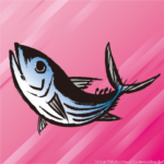 【画像】高知のまんさん、初がつおをパクリ❤