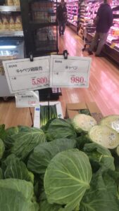 【悲報】キャベツの値段、とんでもないことになる