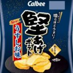 【議論】堅揚げポテトで一番美味い味