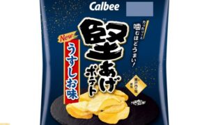【議論】堅揚げポテトで一番美味い味