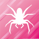 【画像】女の子「幻影旅団入ったw」ﾊﾟｼｬ