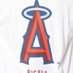 【MLB】では、ここで大谷翔平の古巣、エンジェルスの成績をどうぞ…