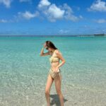 【画像】姉しゅみのえちえち水着