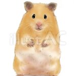 【画像8枚】むっちむっちのハムスターちゃん